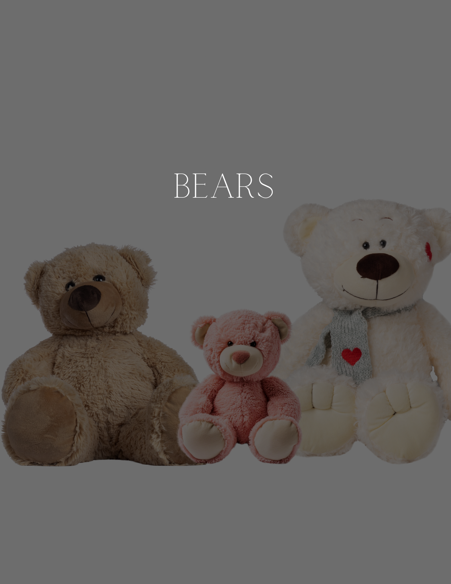 Bears