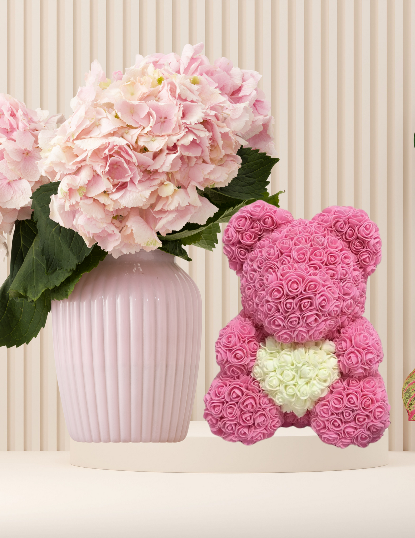Bears Collection